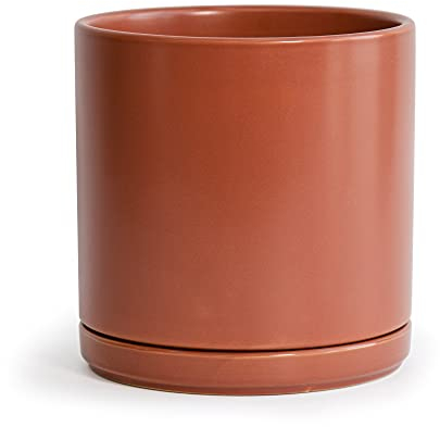 D'vine Dev Pot de fleurs rond en céramique de 20,3 cm avec trou de drainage et soucoupe, pot de fleurs rond pour intérieur, rouge terre cuite, 94-O-D-4