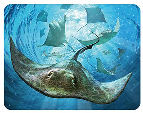 3D LiveLife Magnet - Sting Rays from Deluxebase. Lenticular 3D Ocean Fridge Magnet. Magnetic decor for kids and adults with artwork licensed from renowned artist, Jerry LoFaro