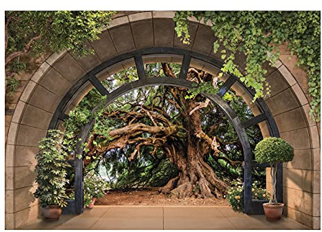 Fototapete 3D EFFEKT Baum Wald Fenster mit Aussicht Natur Ausblick Wohnzimmer Schlafzimmer Vlies Tapete inklusive Kleister Wandtapete UV-Beständig Montagefertig (14089, VEXXL (312x219 cm) 3 Bahnen)