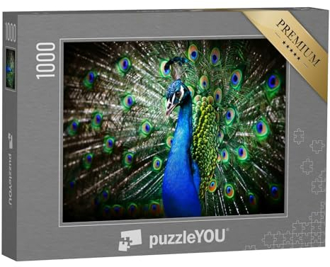 puzzleYOU: Puzzle 1000 Teile „Porträt eines schönen Pfaus mit offenem Rad“ – aus der Puzzle-Kollektion Tiere, Pfauen, Tiere in Dschungel & Regenwald