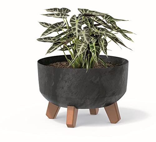 botle Bonsai Schale Baum Mini Garten Blumentopf an den Füßen Pflanzkübel D 23,5 cm Anthrazit Kunststoff Töpfe mit Einsatz Beton Optik Übertöpfe