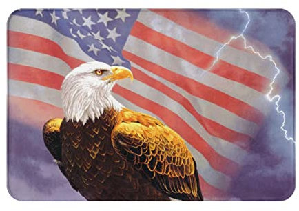 AMINNU Teppich, Motiv: Adler mit USA-Flagge, rutschfest, leicht zu reinigen. Maschinenwaschbar. Geeignet für Haustür, Garagentor, Hintertür, Schlafzimmer und Küche. 40 x 60 cm