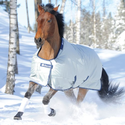 Bucas Power Turnout Light Big Neck 125 Silber