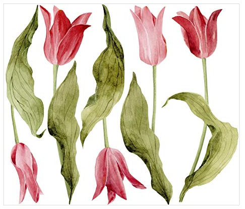 Bilderwelten Fenstersticker Fensterfolie Fensterbild Rote Aquarell Tulpen 120 x 150cm