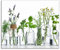 ARTland Spritzschutz Küchenrückwand aus Alu für Küche Herd Spüle 60x50 cm (BxH) mit Motiv Pflanzen Kräuter Gewürze Lavendel Basilikum Blumen H9KE