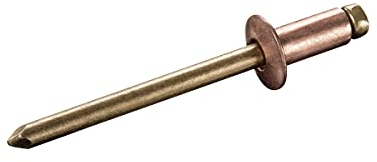 GOEBEL® - 1000 x Blindnieten Kupfer Legierung/Bronze (Ø x L) 3,0 x 8,0 mm mit Flachkopf ISO16582 - Flachkopf Niete - Popniete - STANDARD