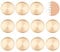 WEBEEDY 11 Pcs Discbound Expansion Discs 1.1 Inch Aluminium Alloy Book Binding Expansion Discs Round Metal Binder Rings for DIY Notebooks and Planner Scrapbooking Supplies,28mm(Rose Gold)