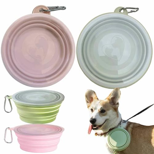Set di 2 ciotole pieghevoli per cani e gatti in silicone con coperchio e moschettone – portatili e richiudibili, ideali per viaggi, passeggiate e campeggio (rosa e ciano, 350 ml)