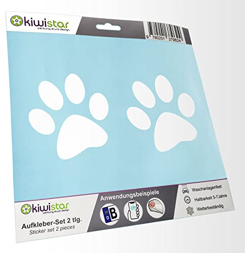 - 2X Kennzeichenaufkleber - Hund - Katze Inside - Autoaufkleber - Evolution Charles Darwin Aufkleber für Auto, Laptop, Fahrrad, LKW, Motorrad Mehrfarbig JDM Decal Racing