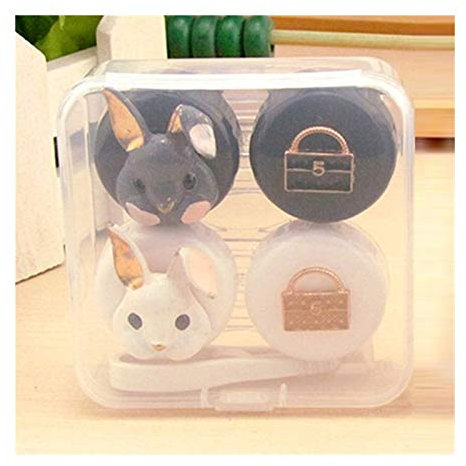 OWLKAY Lens Storage Cases， Contact Lens Cases,Mini Box Container, 2 Pairs Contact Lens Case Set Flower Contact Lenses Box Container for Lenses Travel Eyewear Accessories (Color : B) (Color : B)