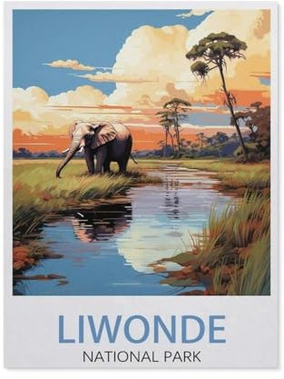 Puzzles for Adults Jigsaw Puzzles 1000 Pieces for Adults Kids,Liwonde National Park Malawi Vintage Travel Poster,paper Puzzle Jigsaw Puzzle Artwork Intellective Educational Toys Gifts(38x26cm)-BC41