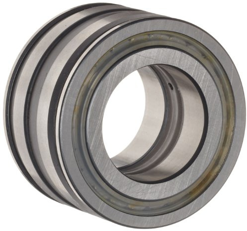INA sl045007-pp Zylindrische Walzenlager
