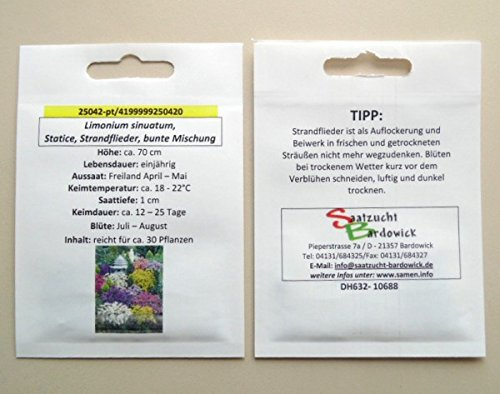 Strandflieder bunte Mischung Blumenmischung Blumensaat für ca. 30 Pfl. Trockenblume Meerlavendel