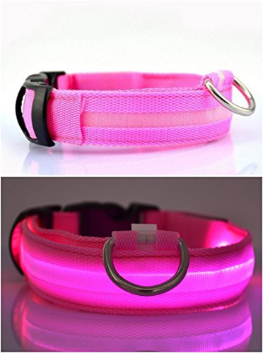 Collare LED per cane USB ricaricabile, lampeggiante, visibilità (GRANDE ROSA)