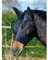 Busse Fliegenmaske Twin Fit - Black - Pony