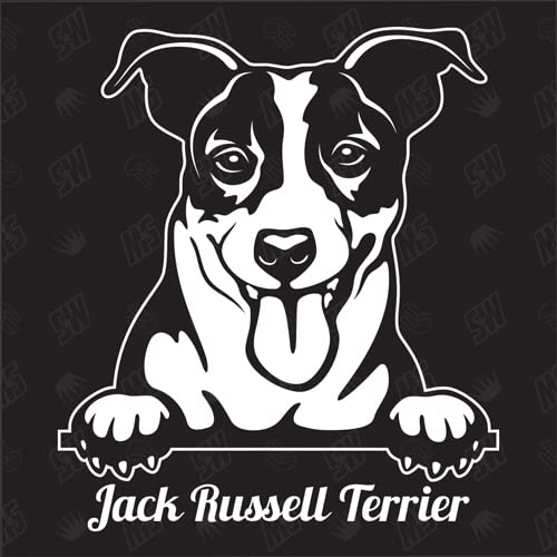speedwerk-motorwear Jack Russel Terrier Version 3 - Sticker, Aufkleber, Hundeaufkleber, Autoaufkleber, Hund, Auto, Hunderassen, Mischling, Mix, Tiere, Haustier (AUCH MIT Wunschname MÖGLICH)