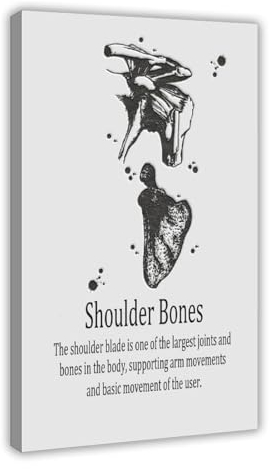 Medizinisches Poster auf Leinwand, Motiv: Schulterknochen, Schlafzimmer-Dekor, Sportlandschaft, Büro, Raumdekoration, Geschenkrahmen: 50 x 75 cm