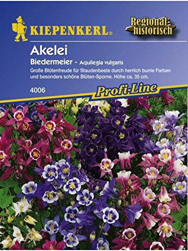 Aquilegia vulgaris Akelei Biedermeier