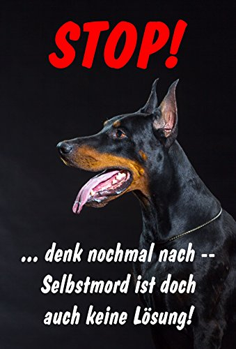 Melis-Folienwerkstatt Schild Warnschild Achtung Dobermann – Selbstmord ist doch auch Keine Lösung – Hund Hundeschild 30x20cm Hartschaum Aluverbund -S25T
