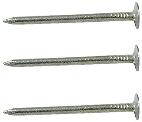 Merriway BH03744 (500 gm) ELH Extra Large Head Clout Nail, 38mm (1.1/2 inch) Galvanised - Pack of 500 gm
