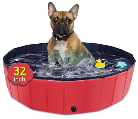 Piscina per cani pieghevole, piscina per bambini da 80cm con plastica dura, vasca per cani antiscivolo per cortile all'aperto (blu) (rosso)