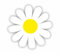Sea View Stickers 18 Daisy Flower Stickers