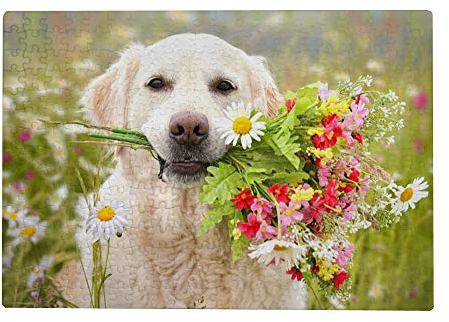300 Teile Puzzle für Erwachsene - Golden Retriever Hund Blume