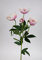 Seidenblumen Roß Christrose 62cm Hellrosa PM Kunstblumen künstliche Christrose Blumen Helleborus