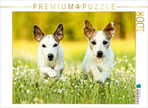 CALVENDO Puzzle Parson Russell Terrier | 1000 Teile Lege-Größe 64 x 48 cm Foto-Puzzle für glückliche Stunden