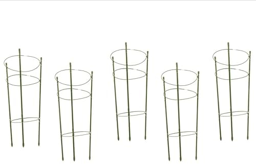 Sxspace 5 STK. Garten Pflanzenstütze 45cm/60cm Rankhilfe Tomaten, Höhenverstellbare Ringe, Pflanzstäbe, Balkon, Pflanzenhalter, Grün