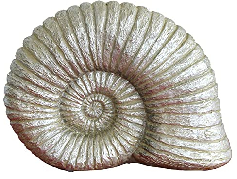 Exner GmbH 440s Ammonit Hilda Polyresin, silberfarben, H ca. 24 cm | EX-219672 | 4045406165614