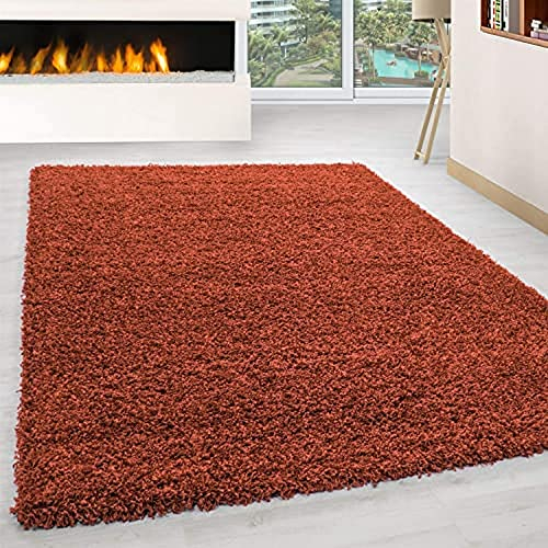 Ayyildiz Teppich-Hochflor Shaggy Teppich unicolor einfarbig Wohnzimmer Flauschig, Polypropylen, Terracotta, 300 X 400