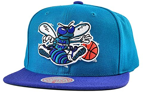 Mitchell & Ness Snapback Cap NBA Wool 2 Tone Logo Charlotte Hornets Teal/Purple