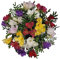 Freesien - Blumenstrauß im Frühling zum Geburtstag