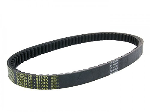 DAYCO Kos 8174 K Keilriemen geriffelt,