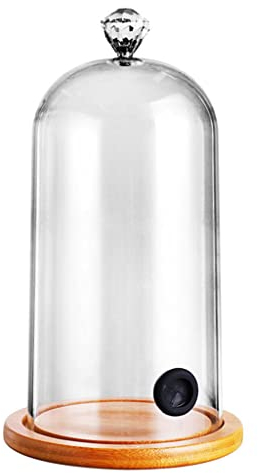 Campana para ahumar, cubierta molecular de cocina, cúpula de alimentos, para cócteles, pasteles, ahumar, cúpula para cócteles