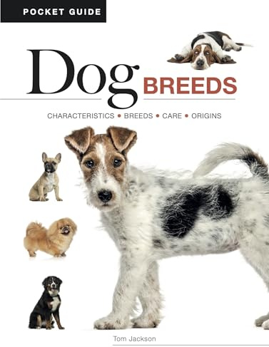 Dog Breeds: Characteristics * Breeds * Care * Origins (Mini Encyclopedias)