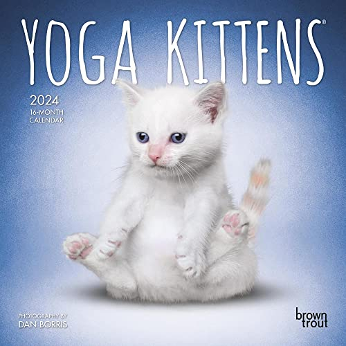 Yoga Kittens 2024 Mini 7x7