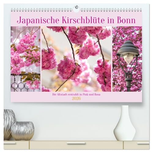 Japanische Kirschblüte in Bonn (hochwertiger Premium Wandkalender 2026 DIN A2 quer), Kunstdruck in Hochglanz: Die Altstadt erstrahlt in Pink und Rosa (CALVENDO Orte)