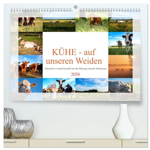 Kühe - auf unseren Weiden (hochwertiger Premium Wandkalender 2026 DIN A2 quer), Kunstdruck in Hochglanz: Nutztierrassen in Deutschland, dieser ... der Weidehaltung. (CALVENDO Tiere)