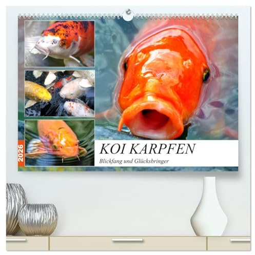 Koi Karpfen. Blickfang und Glücksbringer (hochwertiger Premium Wandkalender 2026 DIN A2 quer), Kunstdruck in Hochglanz: Die farbenprächtigen Könige im Gartenteich (CALVENDO Tiere)