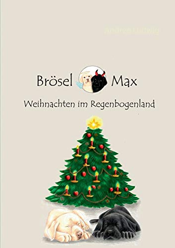 Brösel & Max: Weihnachten im Regenbogenland