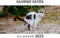 Kackende Katzen: Kalender 2023