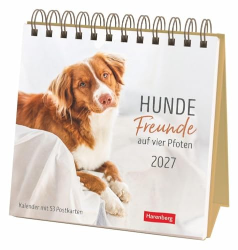 Hunde Premium-Postkartenkalender 2027 - Freunde auf vier Pfoten; Kalender mit 53 Postkarten: Kleiner Kalender mit 53 Postkarten zum Sammeln und ... einem Wochenkalender im Format 16,5 x 17,7 cm