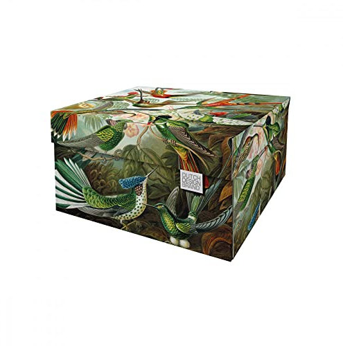 Dutch Design Brand Aufbewahrungsbox Medium mit Deckel – 2 Aufbewahrungsboxen – FSC-zertifizierter, recycelbarer Karton (Größe: 33,2 x 24,2 x 16,5 cm) (Art of Nature)