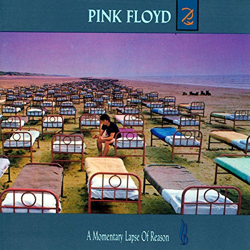 A Momentary Lapse of Reason