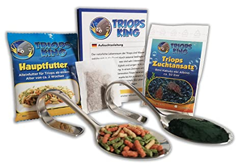 Triops Beni Kabuto ebi Albino Urzeitkrebse Starter Set Plus mit ca. 50 Urzeitkrebs-Eiern / Zysten von Triops King aus Deutschland, Anleitung zur Zucht und Jungtier-Futter und Hauptfutter - Züchte deine eigenen Urzeitkrebse bei dir zu Hause im Aquarium