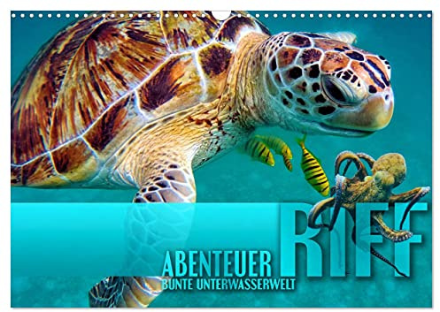 Abenteuer Riff - bunte Unterwasserwelt (Wandkalender 2026 DIN A3 quer), CALVENDO Monatskalender: Fantastische Unterwasseraufnahmen zeigen das ... Korallenriffen der Erde (CALVENDO Natur)