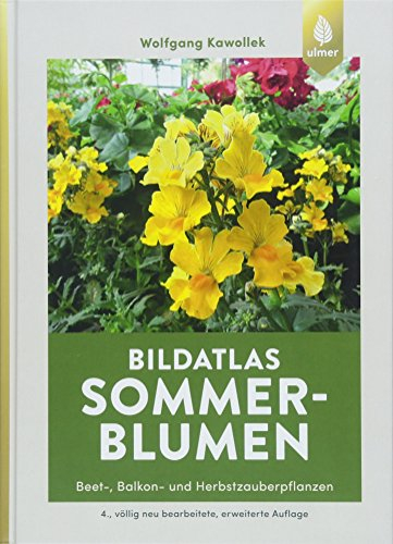 Sommerblumen: Beet-, Balkon- und Herbstzauberpflanzen (Bildatlanten)