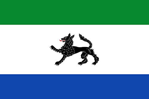 magFlags Bandera Large Peque Castilla y León | bandera horizontal | 1.35m² | 90x150cm